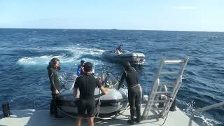 Skiff To Boat Procedure Aboard Undersea Hunter In The Sea Of Cortez September 20 2024 [upl. by Ydurt431]