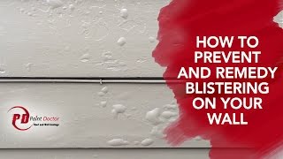 How to Prevent and Remedy Blistering on Your Wall  PaintDoctor Ep12 [upl. by Yetta103]