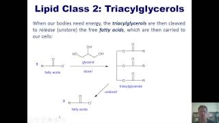 Chapter 24 – Organic amp Biological Molecules Part 7 of 9 [upl. by Ehav]