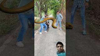 A man can tack a big snakesnake shorts viralvideofunnyshorts funny fun funnymemes [upl. by Nawek416]