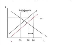 Production subsidy in export market [upl. by Yrogreg95]