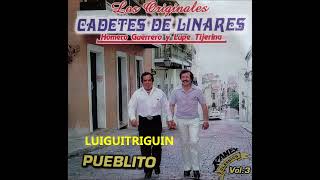 Los Cadetes De Linares mix de puras buenas Vol 2 Lupe Y Homero [upl. by Aniluap]