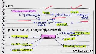 Cortical Hormones  Aldosterone  cortison  hyper and hypoaldosteronism [upl. by Ytirehc723]