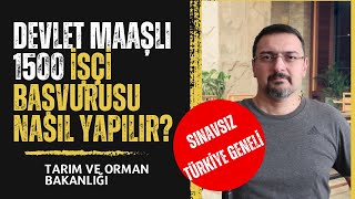 DEVLET MAAŞLI İŞ FIRSATI SINAVSIZ KURA İLE 1500 İŞÇİ BAŞVURUSU NASIL YAPILIR İŞKUR BAŞVURUSU [upl. by Swinton]