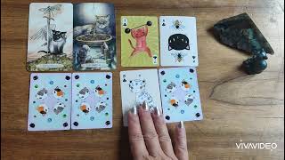 🌻GUIDANCE HEBDO 7 AU 15 092024🌻guidance energie message guidancedelasemaine tarot cattarot [upl. by Collin123]