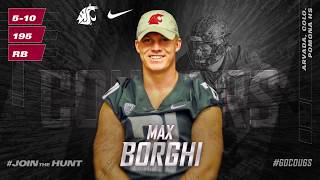 NLI Max Borghi Highlights [upl. by Schober372]