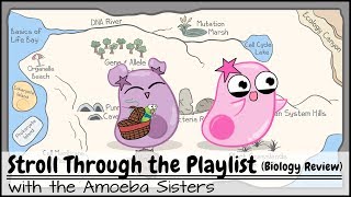 Stroll Through the Playlist a Biology Review [upl. by Coridon964]