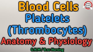 Platelets Thrombocytes Anatomy And Physiology Gnm 1st year  Blood Cells  BioScience Gnm 1st year [upl. by Nenney280]