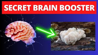 😲 Lions Mane Unveiled Supercharge Your Brain Naturally [upl. by Porche239]