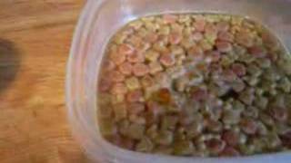 How To Make HomeMade Baby Bird Food [upl. by Sirdna]