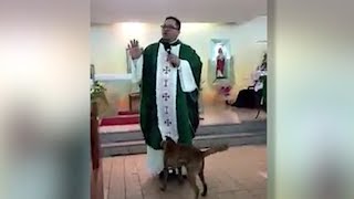 Hund belästigt Priester in der Kirche  die Reaktion ist erstaunlich [upl. by Licko]