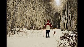 Snowshoeing on the Voyageur Trail in Azilda Ontario [upl. by Ynohtnakram]