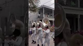 Texas Southern University band at Mardi Gras 🐯 [upl. by Larrad]