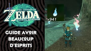 Guide avoir Beaucoup d’Esprits   ZELDA  TEARS OF THE KINGDOM [upl. by Keisling82]