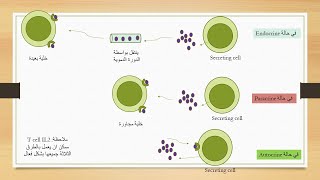 Cytokines and Chemokines السيتوكينات والكيموكينات [upl. by Markland313]