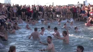 Nytårs Bad Havnebadet Islands Brygge · 2013 [upl. by Erdnua]