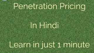 Penetration Pricing Strategy in Hindi Marketing Only Audio [upl. by Hras993]