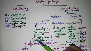 Cholinergic Drugs [upl. by Clint390]