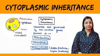 Cytoplasmic inheritance  Maternal Inheritance  Maternal Effect [upl. by Nyrad]