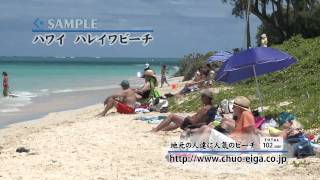 【HD】Haleiwa Beach Oahu Island Hawaii  ハワイ オアフ島 ハレイワビーチ [upl. by Puna380]