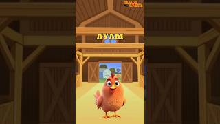 Mari Mengenal Ayam [upl. by Egroeg]