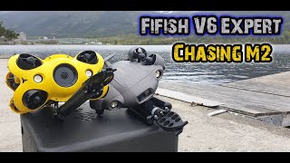 Qysea Fifish V6 Expert and Chasing M2  Underwater FPV Exploring [upl. by Jareb362]