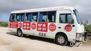 Barossa Explorer a Hop On Hop Off Bus in South Australias Wine Region [upl. by Mosora25]