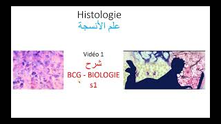 Histologie S1  Introduction N° 01 شرح [upl. by Eseeryt]