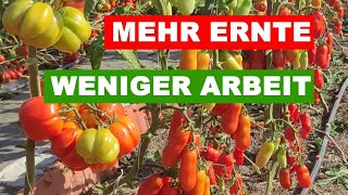 POWERPAKET FÜR MEHR ERNTE [upl. by Esidnak]