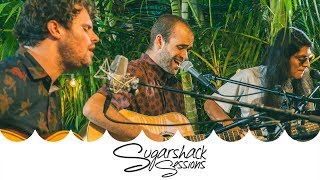 JAIALAI  Pink Motion Live Music  Sugarshack Sessions [upl. by Brink37]