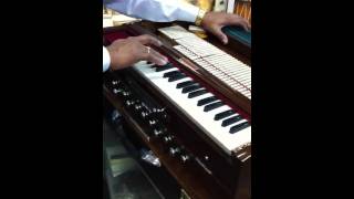 Harmonium BINA no 32 English reeds [upl. by Anohr]