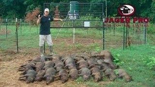 Wild Hog Trapping  17 MINE™ Trapping System before June Planting  JAGER PRO™ [upl. by Cross506]