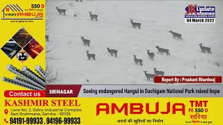 Seeing endangered Hangul in Dachigam National Park raised hope [upl. by Bencion]