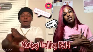 New Boyfriend…  Monkey App Trolling Pt14 [upl. by Quinlan]