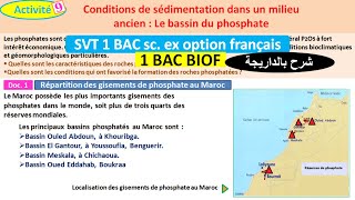 SVT 1ABioF les conditions de la sédimentation dans le milieu continental [upl. by Yenot]