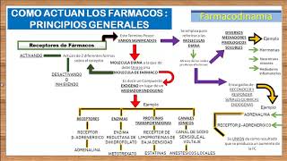 TEMA 3FARMACODINAMIA RECEPTORES FARMACOLOGICOS e introduccion a los AGONISTAS Y ANTAGONISTAS [upl. by Anyahs372]