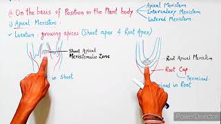 Meristematic Tissue  Meristems  Characteristics Classification amp Functions  Plant Tissues [upl. by Spillihp533]