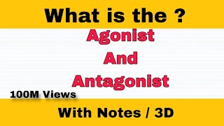 Difference Between Agonist And Antagonist  3D Animation  viral education [upl. by Eneleahcim917]