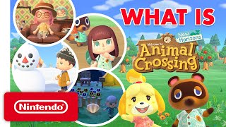 What Is Animal Crossing New Horizons A Guide for the Uninitiated [upl. by Onyx]