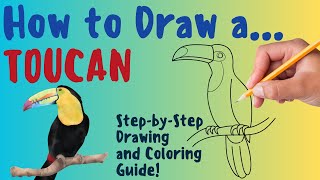 How To Draw A Toucan  Fun amp Easy StepbyStep Drawing and Coloring Guide [upl. by Faubion]