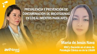 Prevalencia y prevención de contaminación de micotoxinas en los alimentos para aves [upl. by Annekim]