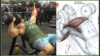 7 Chest Workout and Motivation 7 Ejercicios de Pecho [upl. by Ariaic380]