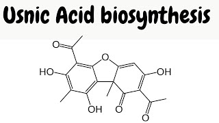 What is this usnic acid  biosynthesis and mechanisms [upl. by Mountford]