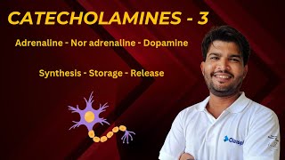 Catecholamines 3  Synthesis  Storage  Release  Adrenaline  Nor adrenaline  Dopamine [upl. by Bryna750]