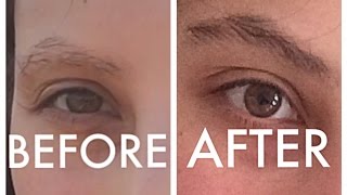 HOW I GREW FULL amp THICK EYEBROWS FAST  REVITABROW [upl. by Dagley]