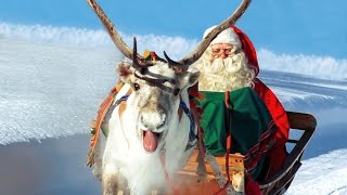 Renas de Papai Noel na Lapônia Finlândia 🦌🎅 Pai Natal vídeo para famílias Rovaniemi Santa Claus [upl. by Yracaz417]