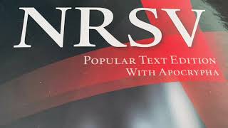 1 Esdras NRSV Bible Chapter 4 Apocryphal Audiobook [upl. by Anirdnajela]