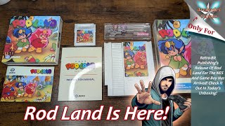 RetroBits Release Of Rod Land For NESGame Boy Has Arrived [upl. by Anaidiriv]