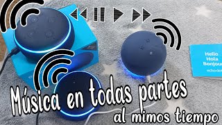 Alexa reproduce música en todas partes🎵 Reproduce música en dos o más Echo Dot al mismo tiempo ✅ [upl. by Nibla889]