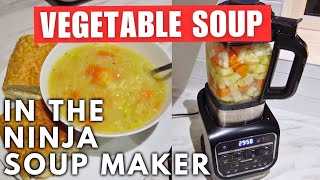 Vegetable Soup Easy Recipe Ninja Soup Maker cooking soup vegatable [upl. by Noryt291]